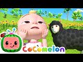 Baa Baa Black Sheep! | CoComelon Animal Time | Animal Nursery Rhymes