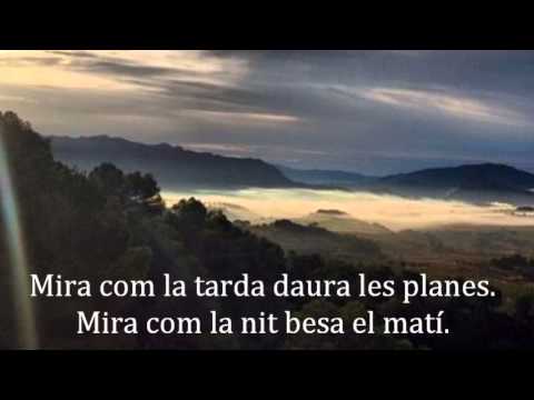 "Obre els ulls" Els Catarres (lletra)