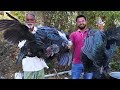 Amazing Black Chicken Biryani Recipe Cooking Black Chicken Pulao By Grandpa