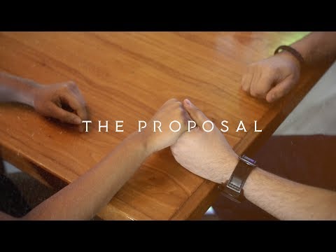 THE PROPOSAL