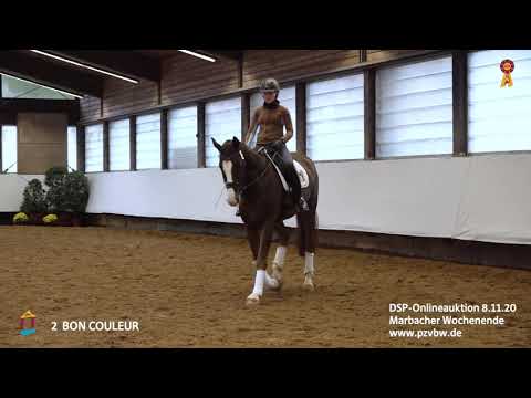 Trainingsimpressionen KN 2 BON COULEUR 4-j. Wallach v. Bon Couleur-Rivero *Marbacher Wochenende 2020