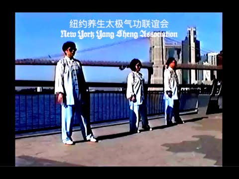 Eyvind Kang - Riparian (feat. NY Yang Sheng Tai Chi Qi Gong Association)
