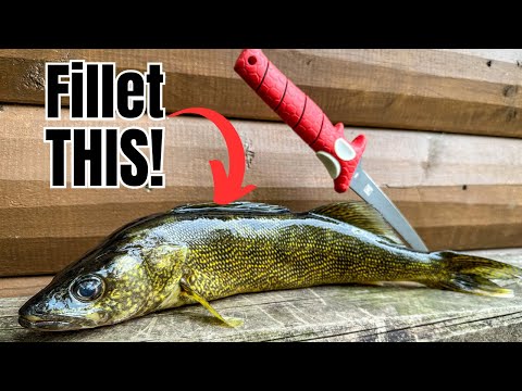 How to Fillet ANY Fish (SIMPLEST Method for BEGINNERS!)