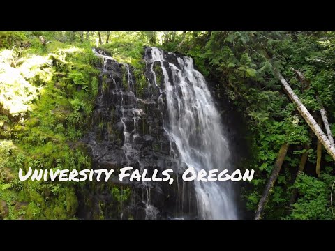 University Falls, Tillamook State Forest, Oregon (4K Drone)