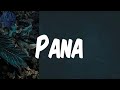 (Lyrics) Pana - Tekno