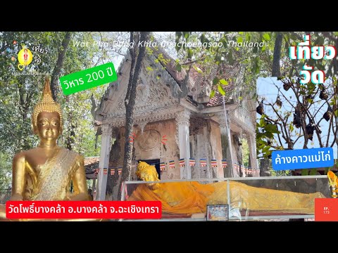 วัดโพธิ์บางคล้า