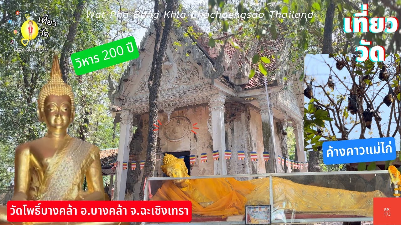วัดโพธิ์บางคล้า