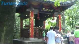Video : China : China tour scenes - video