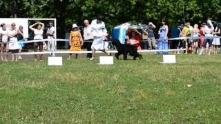 , видео