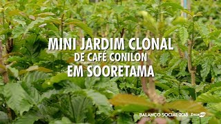 Miniatura do vídeo