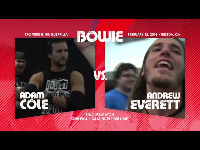 PWG - Preview - BOWIE
