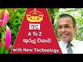 කුරුදු වගාව කුරුඳු වගාව කුරුදු තැලීම K