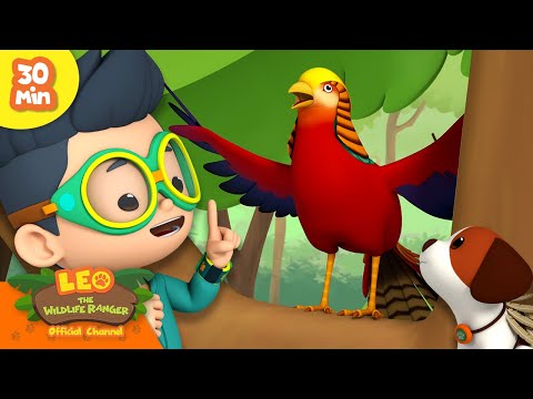 Witness21 Editor  2024 07 11