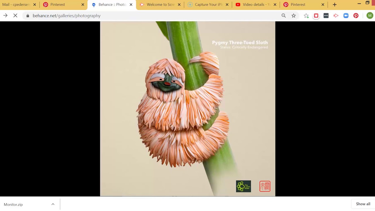 Pinterest Board pinning from Behance