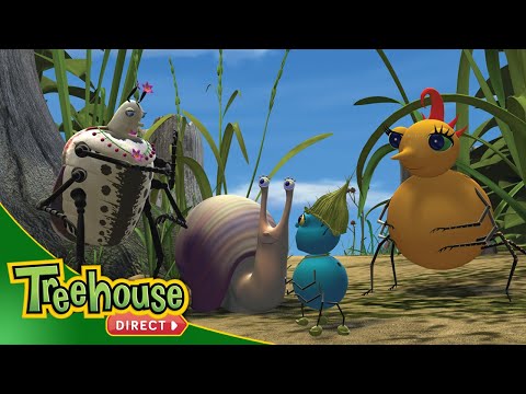 Miss Spider | Good Deed Seeds / Shelley And The Brain - Ep.41