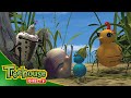 Miss Spider Good Deed Seeds Shelley And The Brain Ep 41