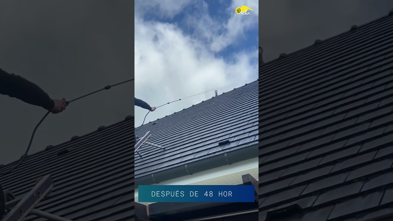 ¿Cómo proteger su techo de la infiltración de agua?