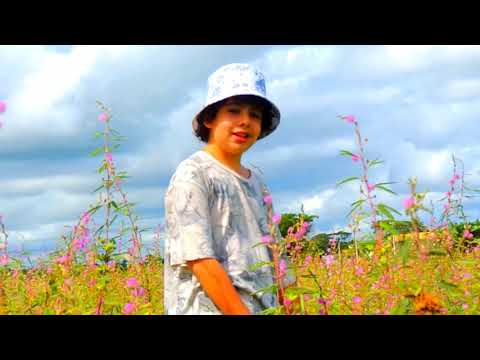 Lil Zé "Honey" [Video Official]