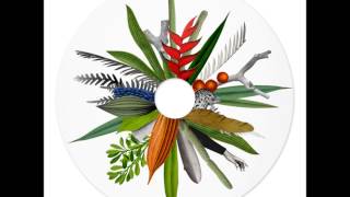 Aloa Input - Chasing Shades