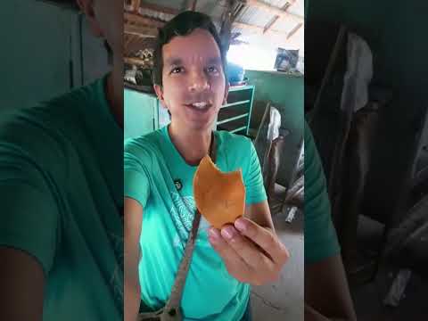 parpichuela hechas en Since Sucre Colombia. que belleza 😊