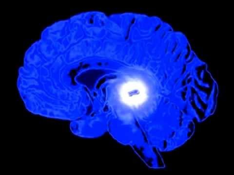 Capsule hondroksid per giunti Il dolore al ginocchio come trattare i mezzi delle persone
