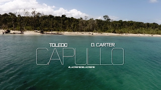 Toledo Ft. D. Carter - Capullo (Video Oficial) 2017 #LaCremeDeLaCreme