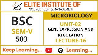 Download Lagu BSC SEM V || MICROBIOLOGY 503 || UNIT 2 || LECTURE 16 Thumbnail