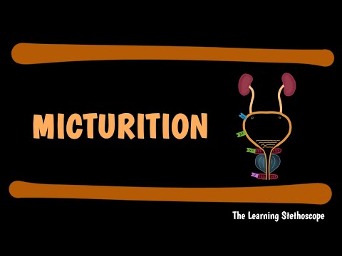 Micturition Explained | Bladder Innervation | Nephrology