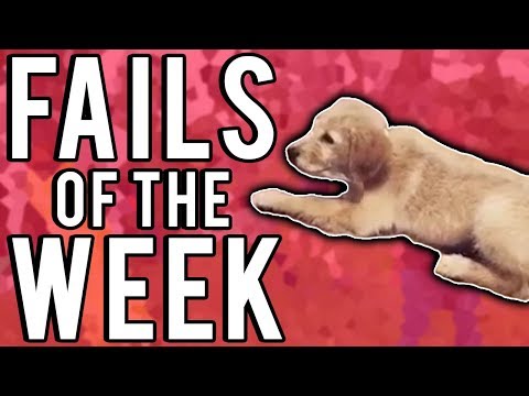 The Best Fails Of The Week August 2017 | Week 2 |  Part 2 | A Fail Compilation By FailUnited