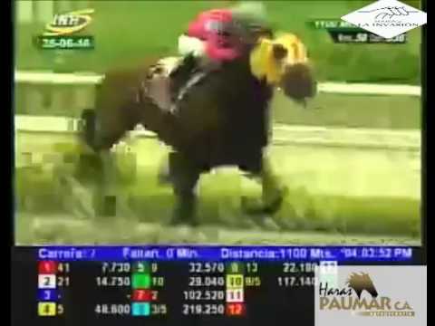 LA RINCONADA 7 CARRERA, DOMINGO 26 DE JUNIO DEL 2016