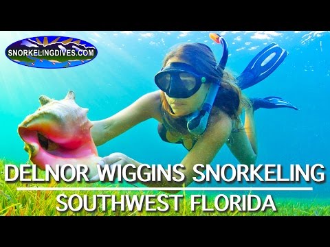 Snorkeling Delnor Wiggins | Florida