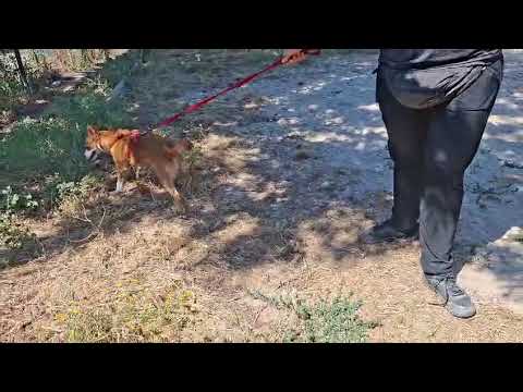 Vídeo de LUNA