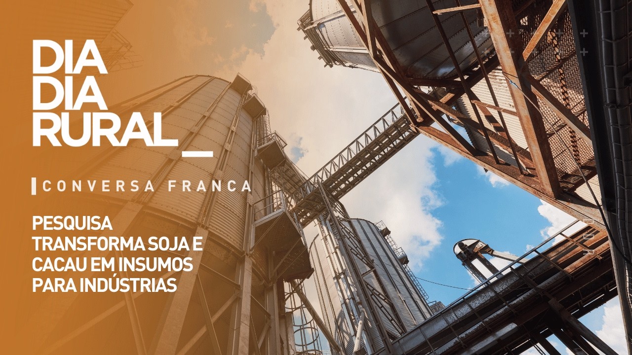 Pesquisa transforma soja e cacau em insumos para indústrias