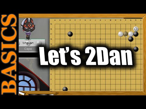 Lets Mini Chinese - 2Dan KGS - Back to Basic Baduk
