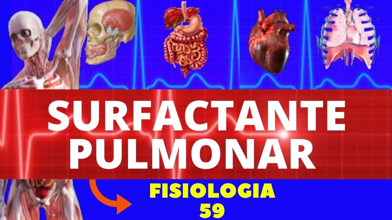 SURFACTANTE PULMONAR ( TENSÃO SUPERFICIAL PULMONAR ) - FISIOLOGIA DE GUYTON - FISIOLOGIA HUMANA