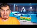 Someone Put A Giant Shark In My Pool (Sharks And Minnows)