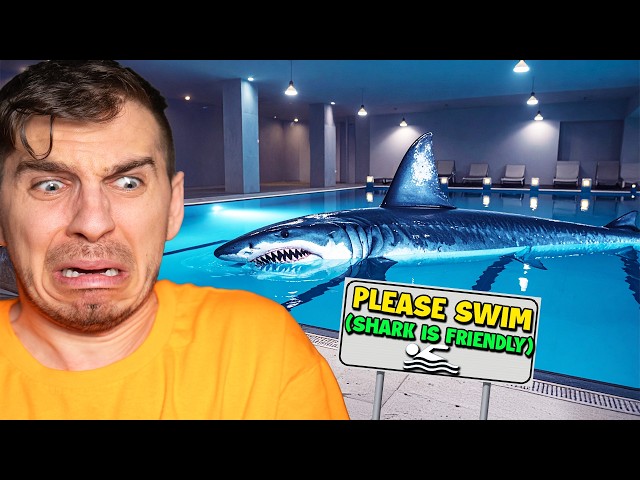 Someone Put A Giant Shark In My Pool (Sharks And Minnows)