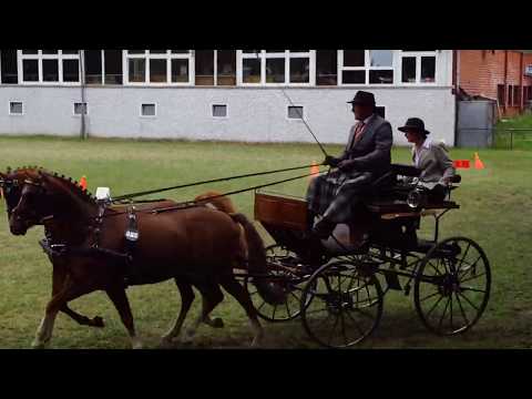 Fahrturnier Alfhausen 25.5.2019