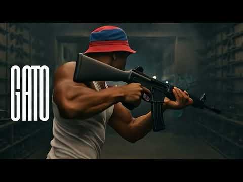 GATO - LARI A -  ( VISUALIZER 2026 )