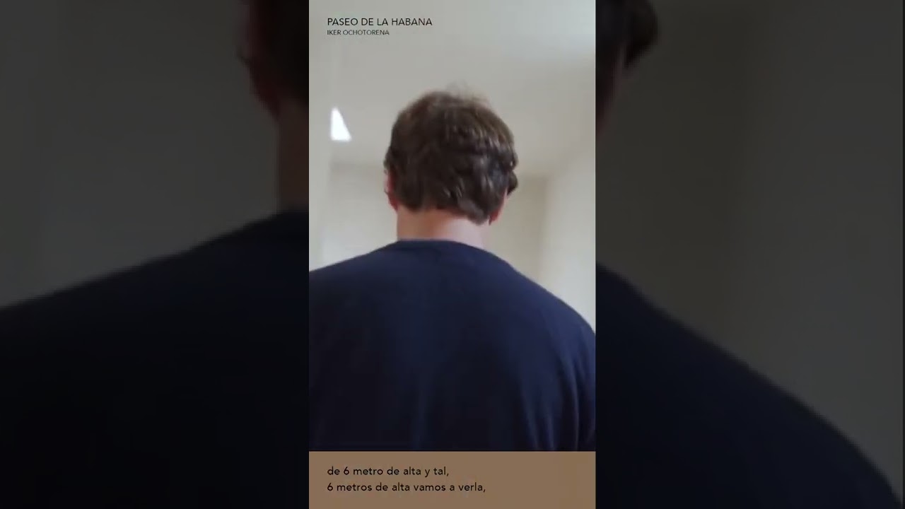Paseo de La Habana - Iker Ochotorena