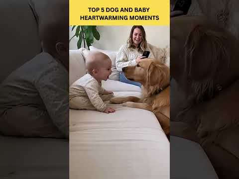 Dog dropshipping a baby