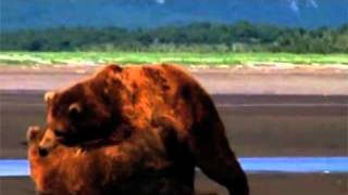 WORSE TO COME by MALE BONDING ⎝unofficial video⎠