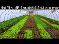 Exotic vegetable farming Business model | विदेशी सब्जी की खेती | Market Price