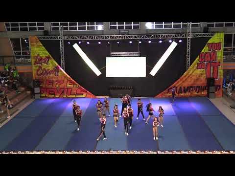 129 Bears Black   open mx 4 - DEVILS 2019