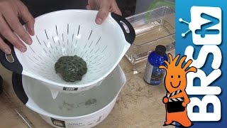 New coral? Protect your tank from pests. | How To Tuesday