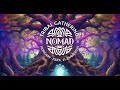Nomad Gathering 2025