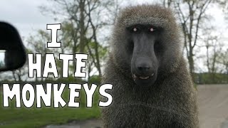 Squiddy Vlogs - I HATE MONKEYS! [24]