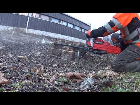 Metsolan Metsäkoulu 186 - Hengenvaarallinen saha