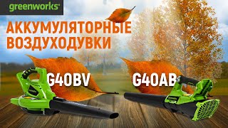 Воздуходувка аккумуляторная Greenworks G40ABK4 с АКБ 4 Ач и ЗУ - видео №1