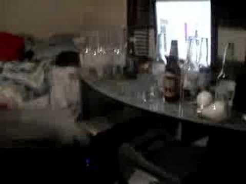 the roger stupidity show pt.1